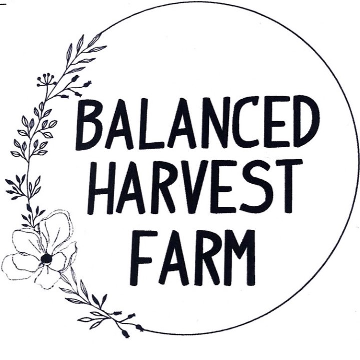 Carmel Farmers Markets